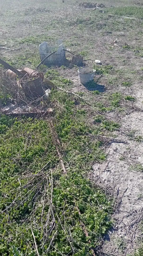 Terreno rustico in vendita a Pedanías - Extrarradio, imagen 7