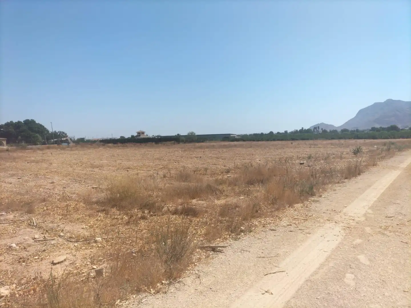 Rural land for sale in La Murada - Los Vicentes, imagen 8