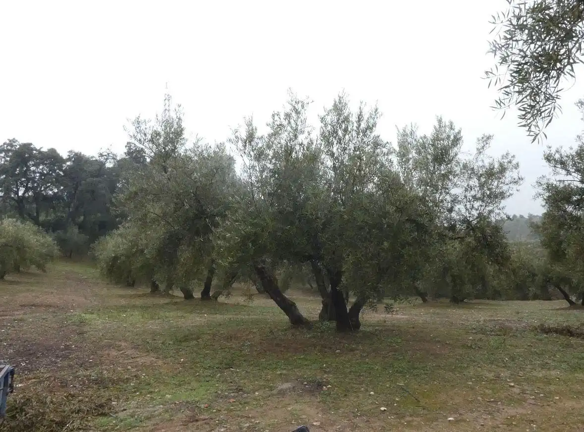 Terreni e lotti in vendita a Peligros, imagen 20