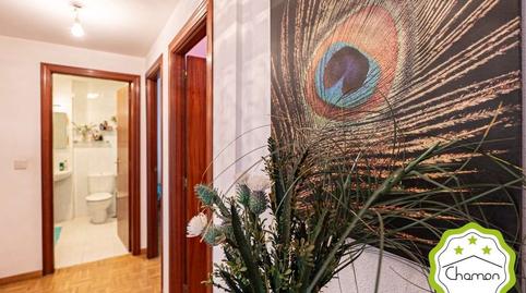 Foto 2 de Pis en venda a Doctor Bruno Alegría Kalea, Mamariga, Bizkaia