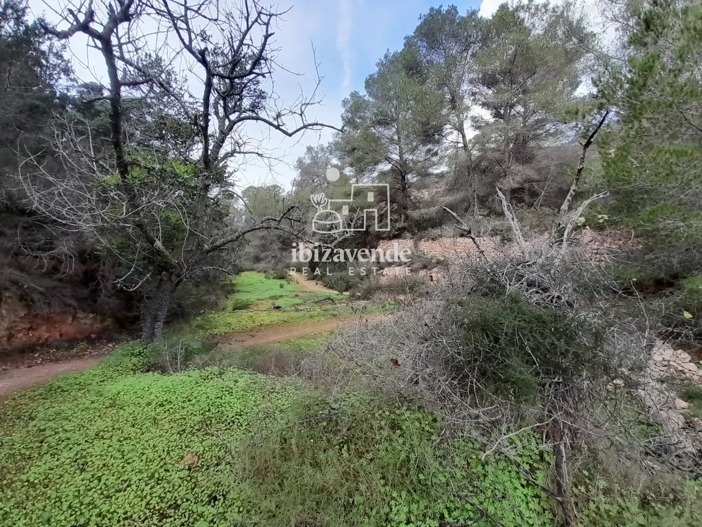 Terreny rústic en venda a de cala tarida, imagen 18