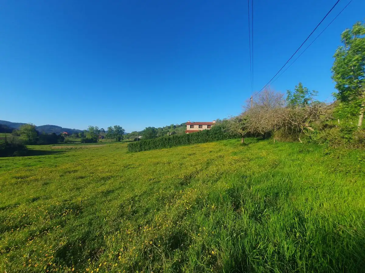 Terrenos y solares en venta en Salas, imagen 13