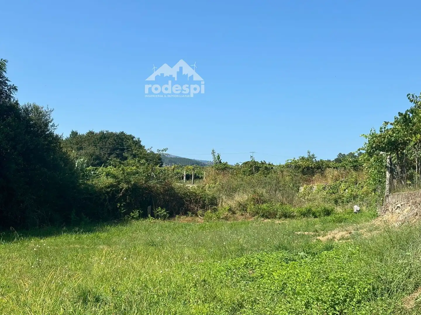 Houses for sale in Arbo