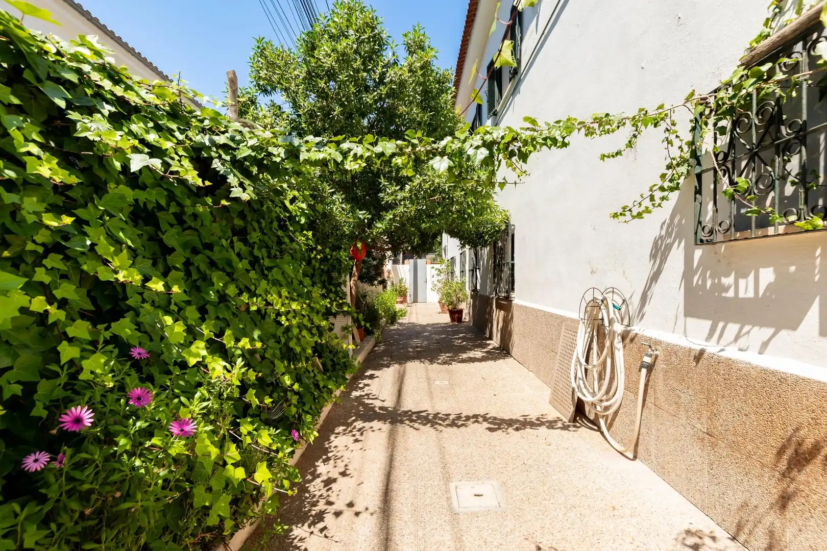 Vista exterior de Apartament en venda en Calvià amb Aire condicionat, Calefacció i Jardí privat