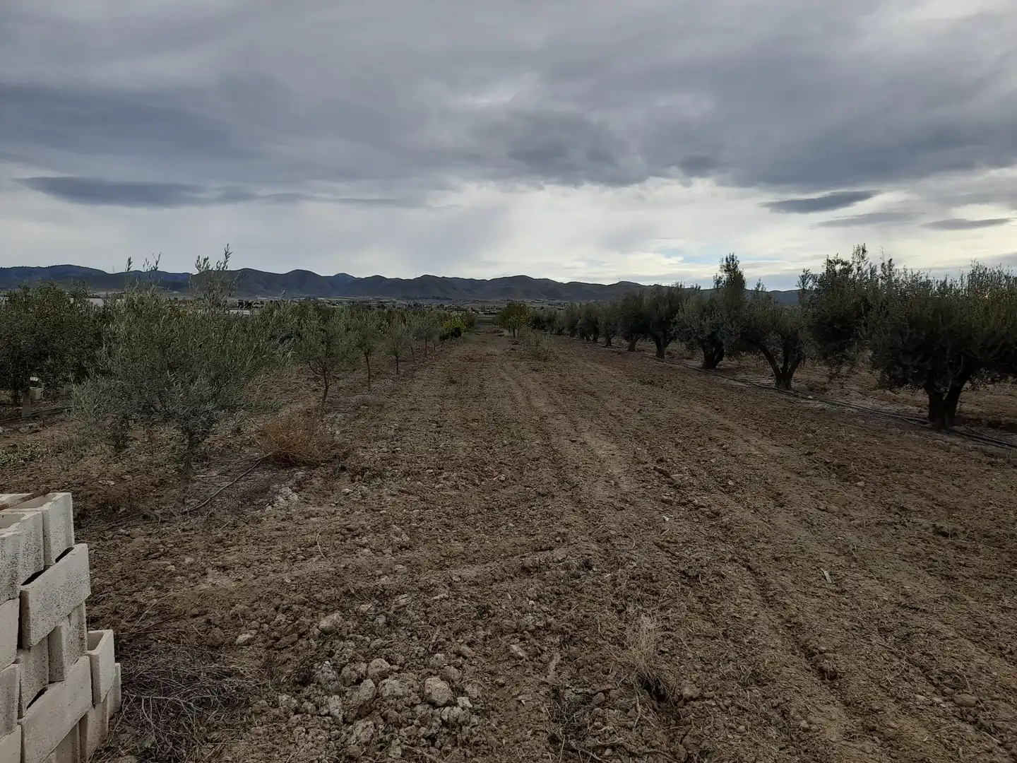 Residential land for sale in Pedanías Sur, imagen 4
