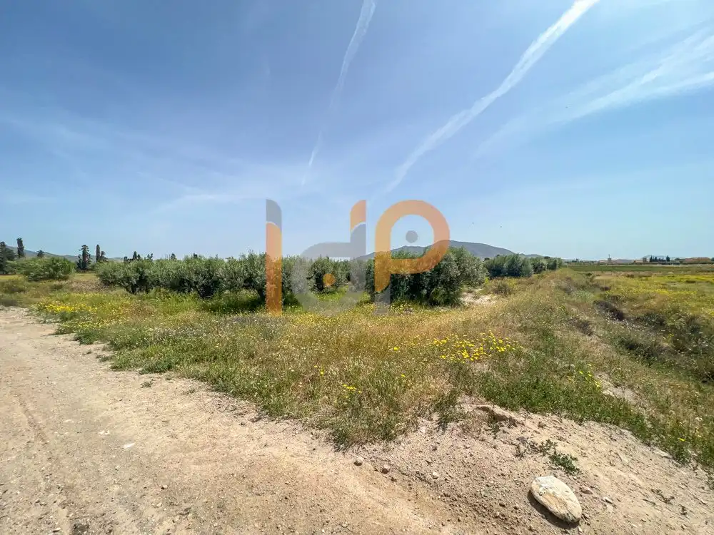 Terrain rustique à vendre à Huércal-Overa, imagen 10