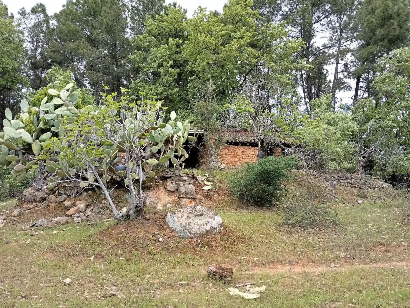 Terreni e lotti in vendita a Villanueva de la Vera, imagen 9