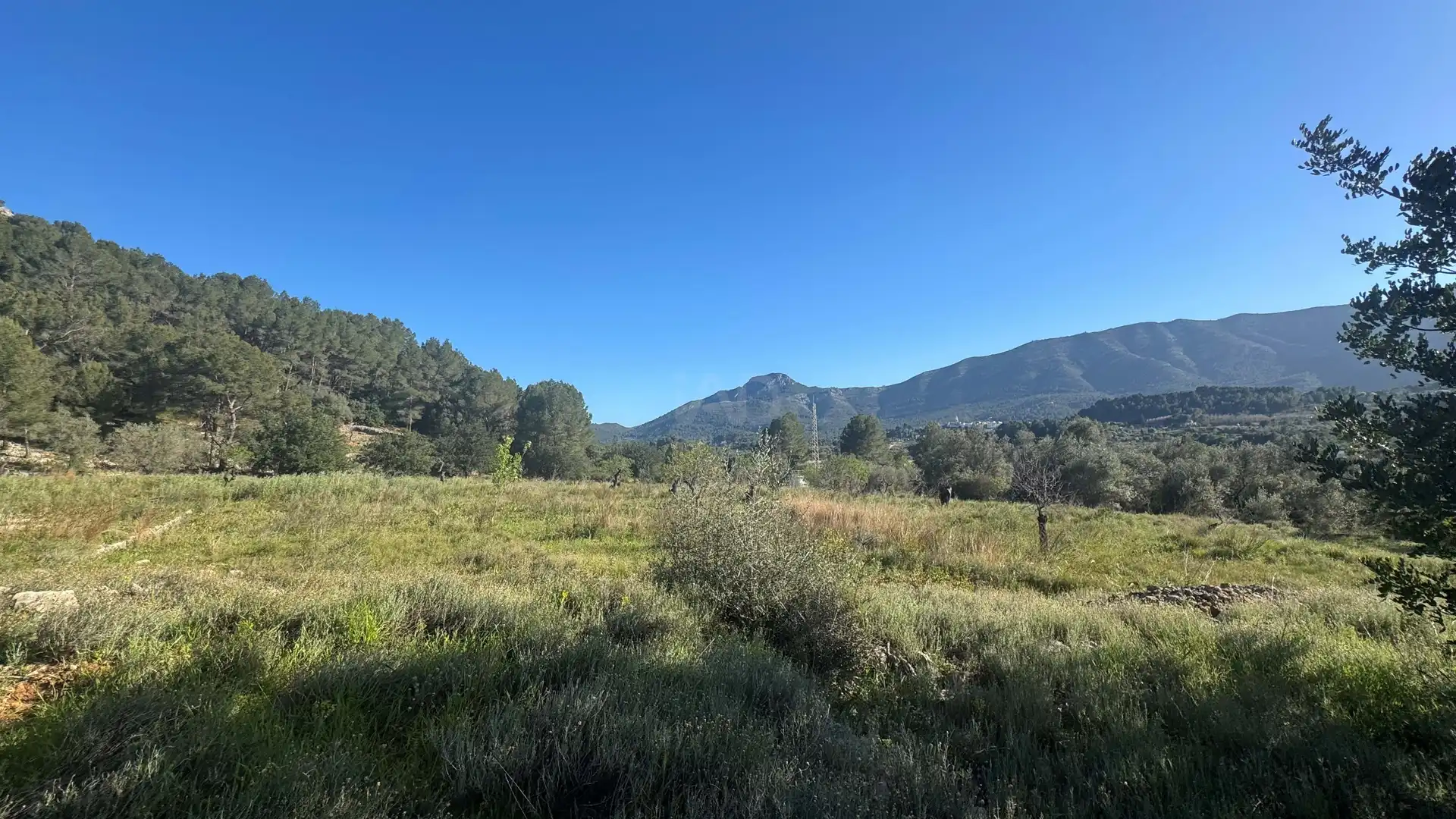Residential for sale in Murla