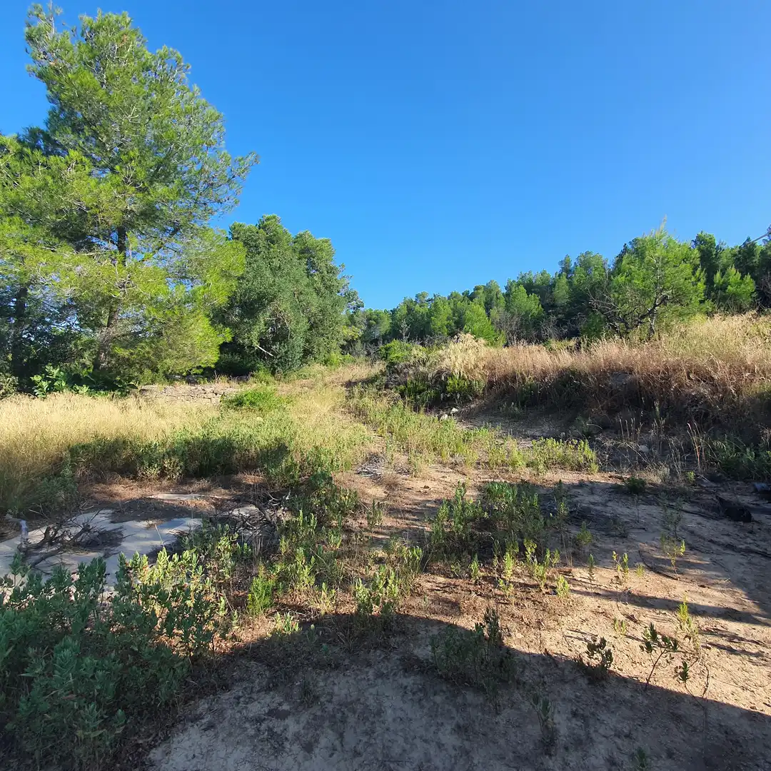 Finca rústica en venda en Caseres amb Moblat