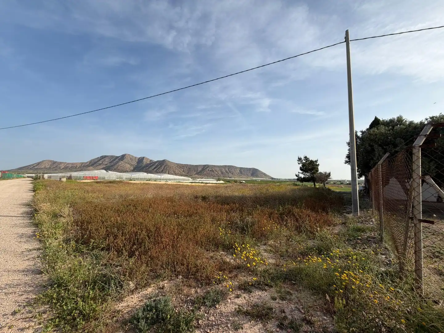 Lands and plots for sale in Torre-Pacheco ciudad, imagen 3