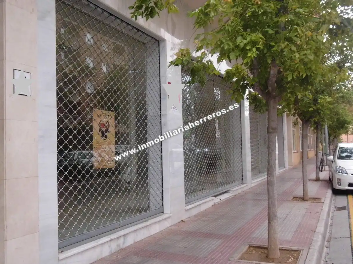 Business premises for sale in PINTOR ROSALES, imagen 11