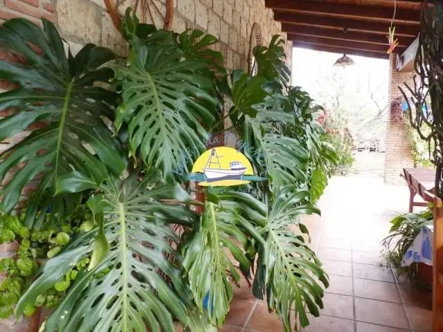Casa o chalet en venta en Totana con Aire acondicionado, Jardín privado y Terraza