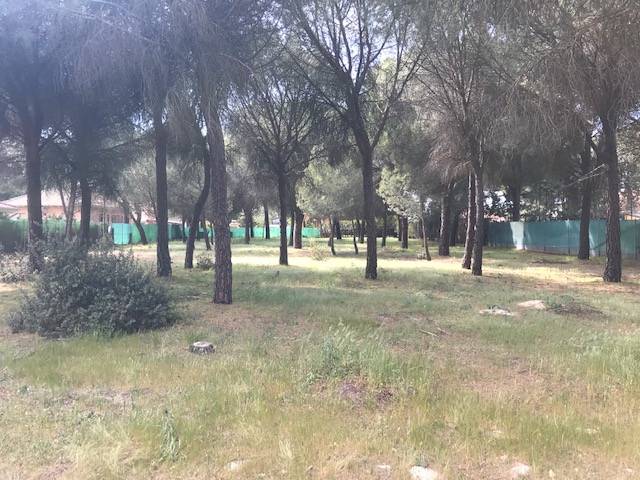 Terreno residencial en Venta en Calle Rubi, 4 en El Campillo (Valladolid)