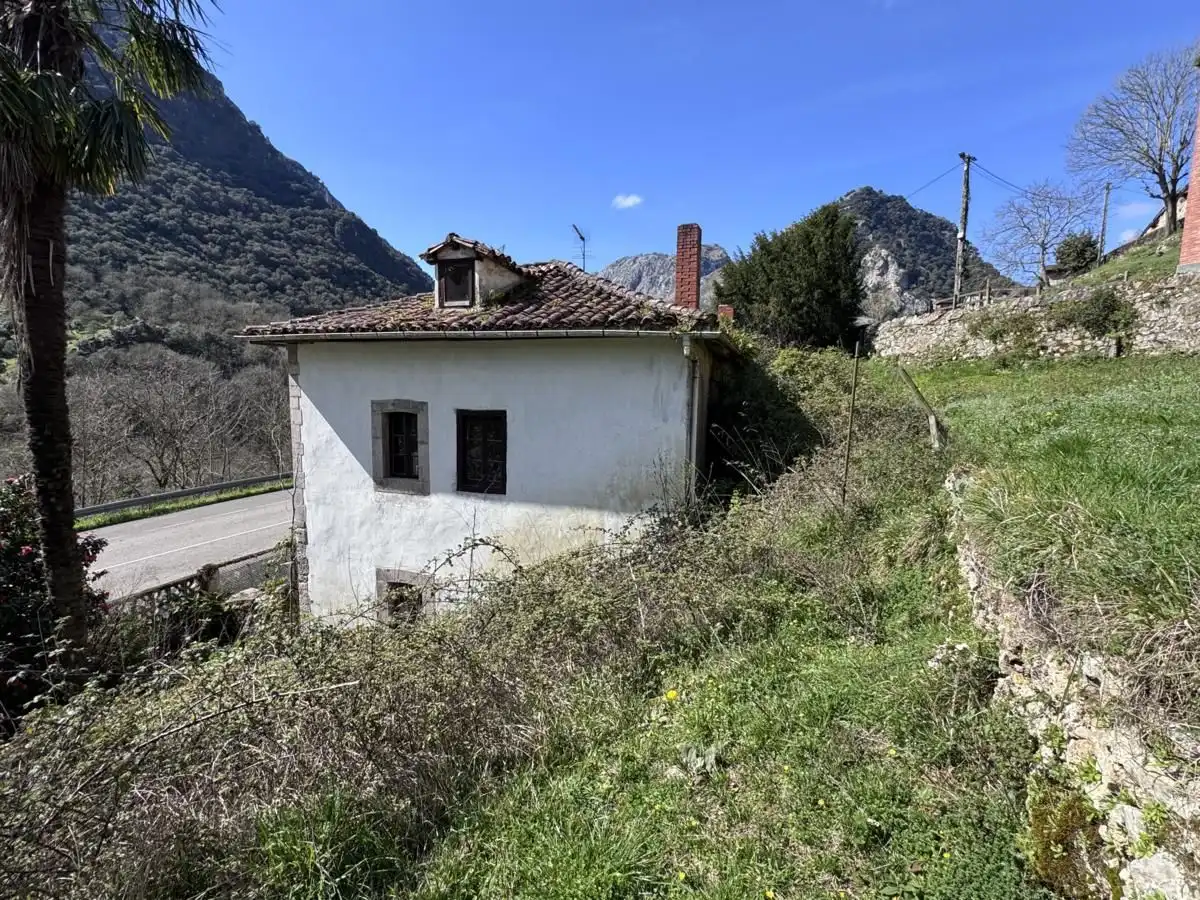 Exterior view of Country homes for sale in Peñamellera Alta  with Private garden