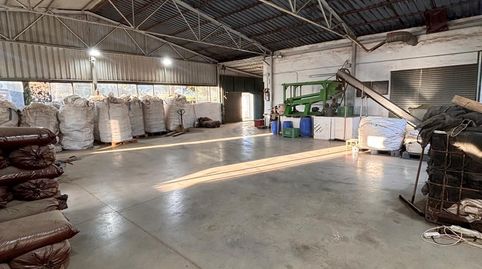 Foto 3 de Terreno en venta en Parcela Cascante, Cabanes y Las Fuentes, Villena