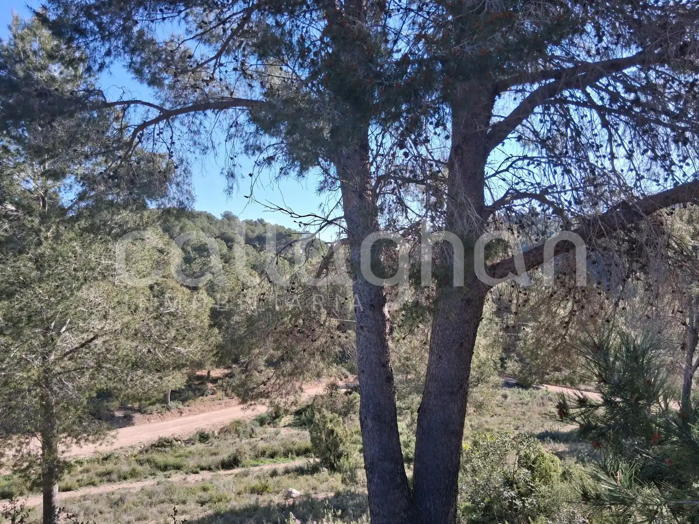 Residential land for sale in Camino de la Creu d'Horquera, imagen 24