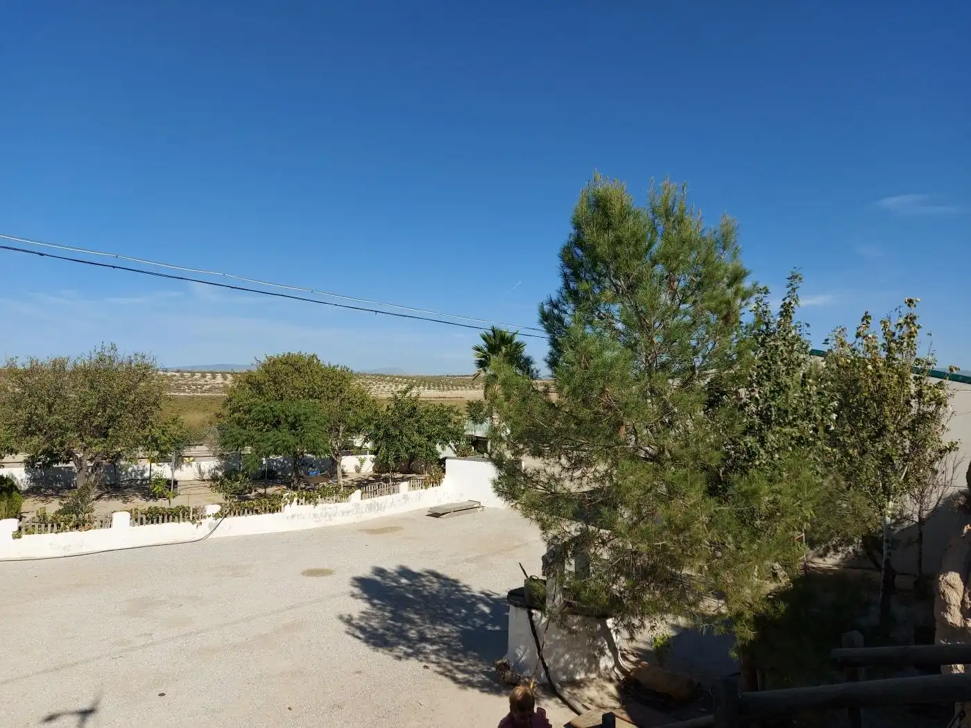 Local comercial en venda a Baza, imagen 2