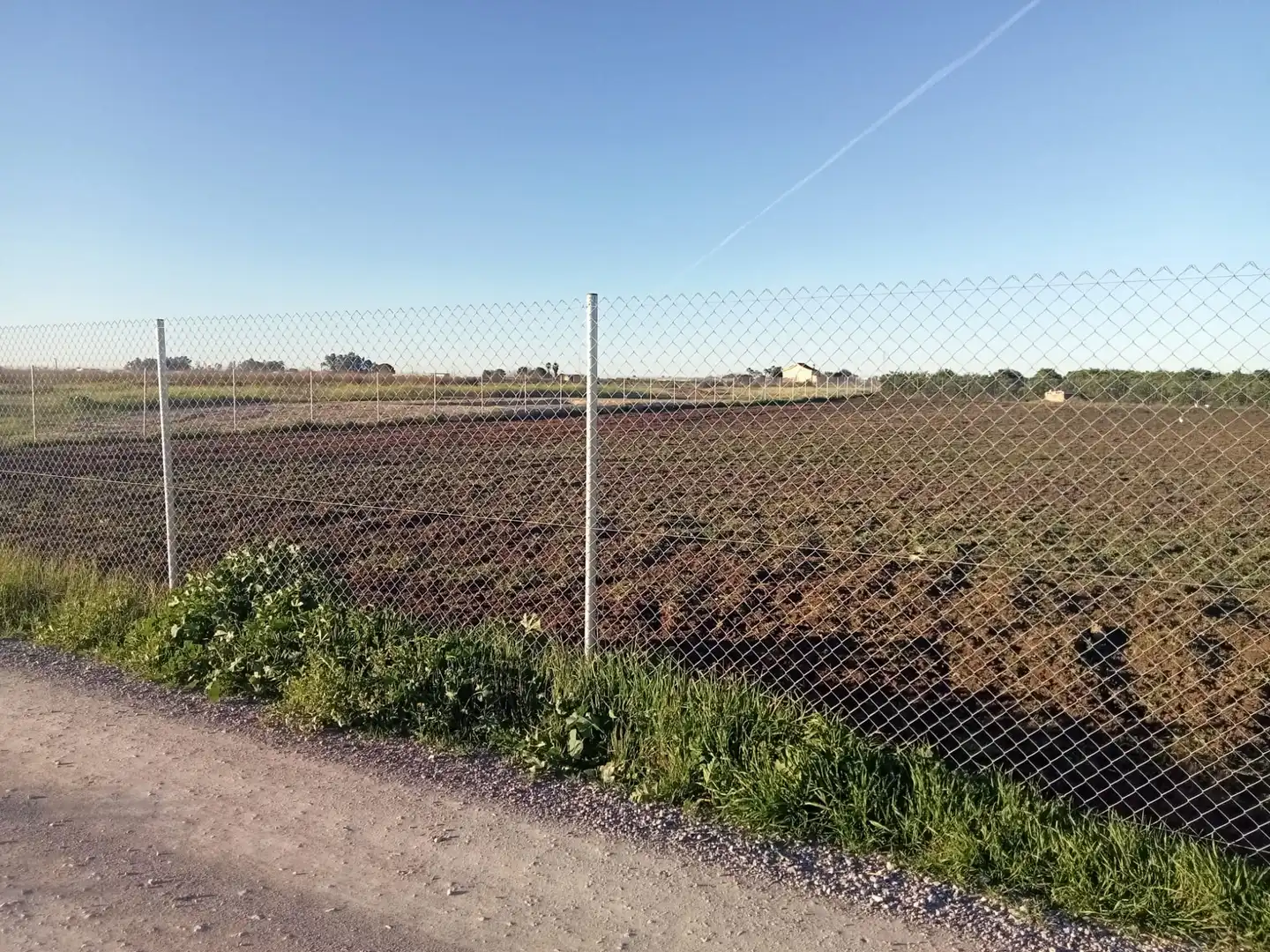 Rustikales Grundstück zum Verkauf in Los Palacios y Villafranca, imagen 5