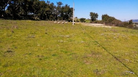 Foto 5 de Casa o chalet en venta en San Vicente de Alcántara, Badajoz