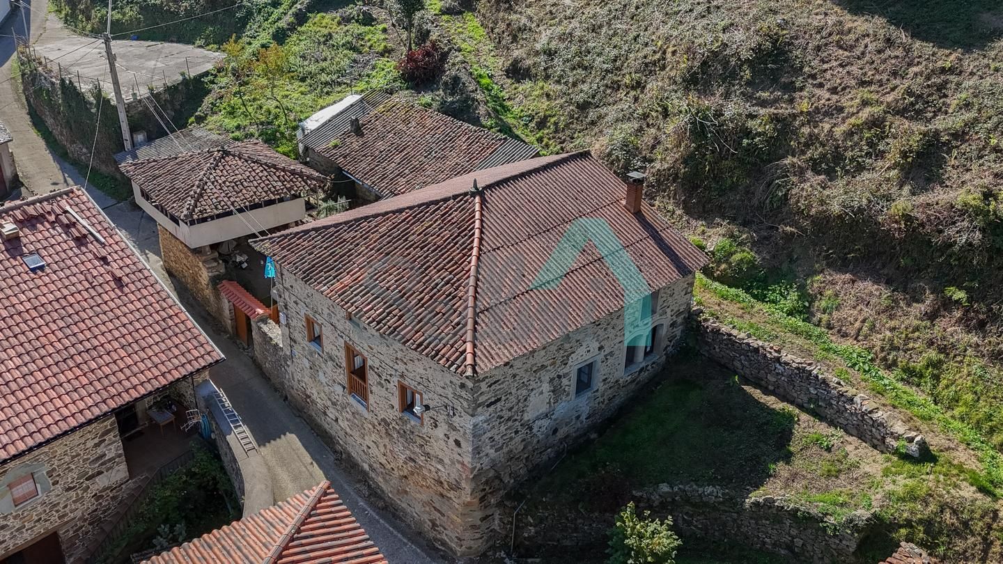 Vista exterior de Casa o xalet en venda en Tineo amb Jardí privat i Balcó