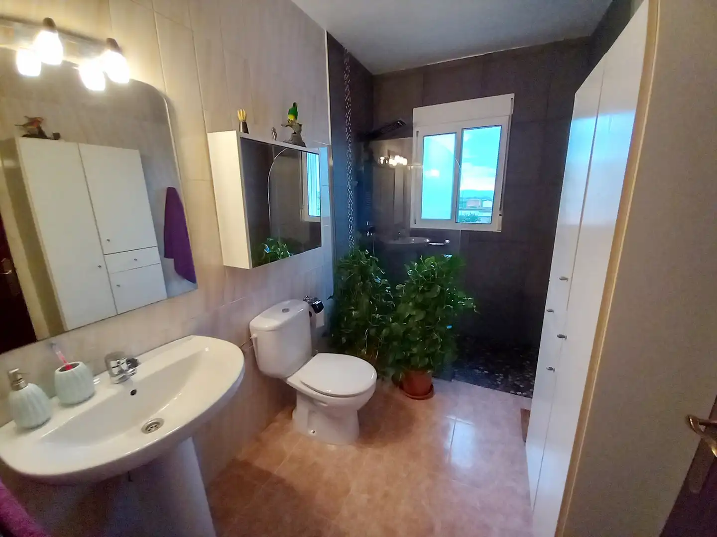 Casa amb jardí en venda a Partidas de interior - Zona Rústica, imagen 6