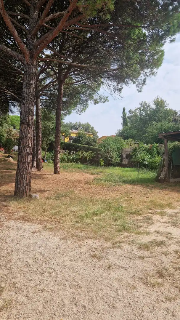 Residential land for sale in Avinguda Farners 1, imagen 5