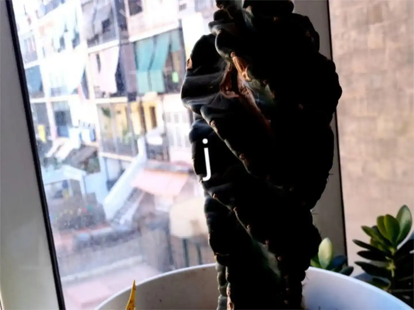 Terrassa de Apartament per a compartir en Barcelona amb Aire condicionat, Jardí privat i Parquet