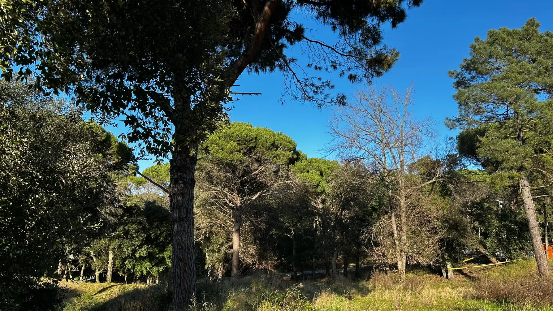 Residencial en venta en Tordera