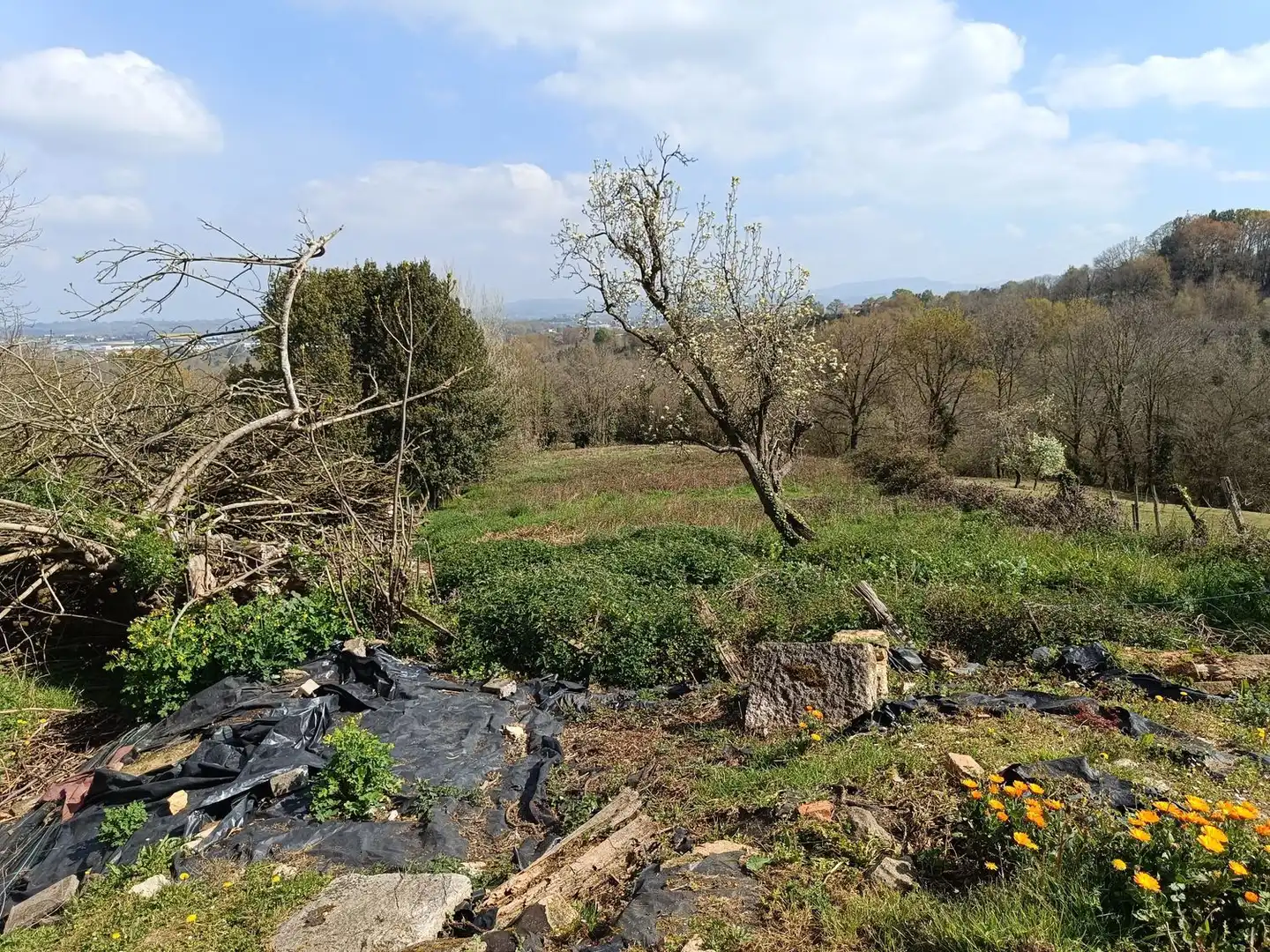 Casa o chalet en venta en Siero con Piscina