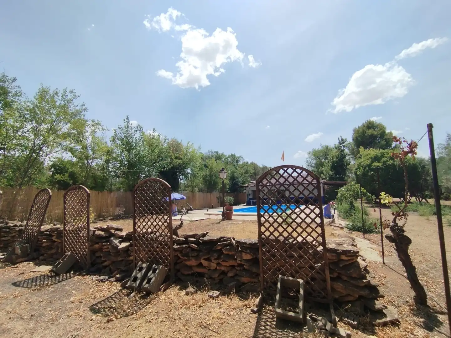 Jardí de Finca rústica en venda en Argamasilla de Alba amb Jardí privat, Piscina i Moblat