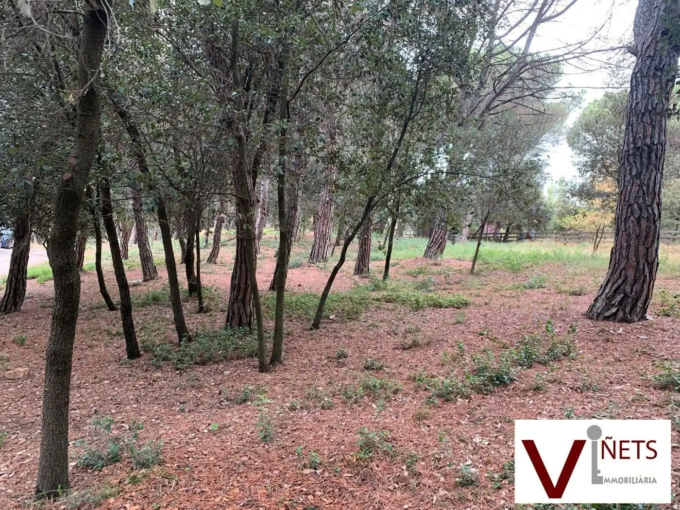 Terreno residencial en venta en Aiguafreda, imagen 9