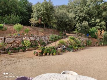 Haus mit Garten zum Verkauf in Carrer Nou de Dalt 3