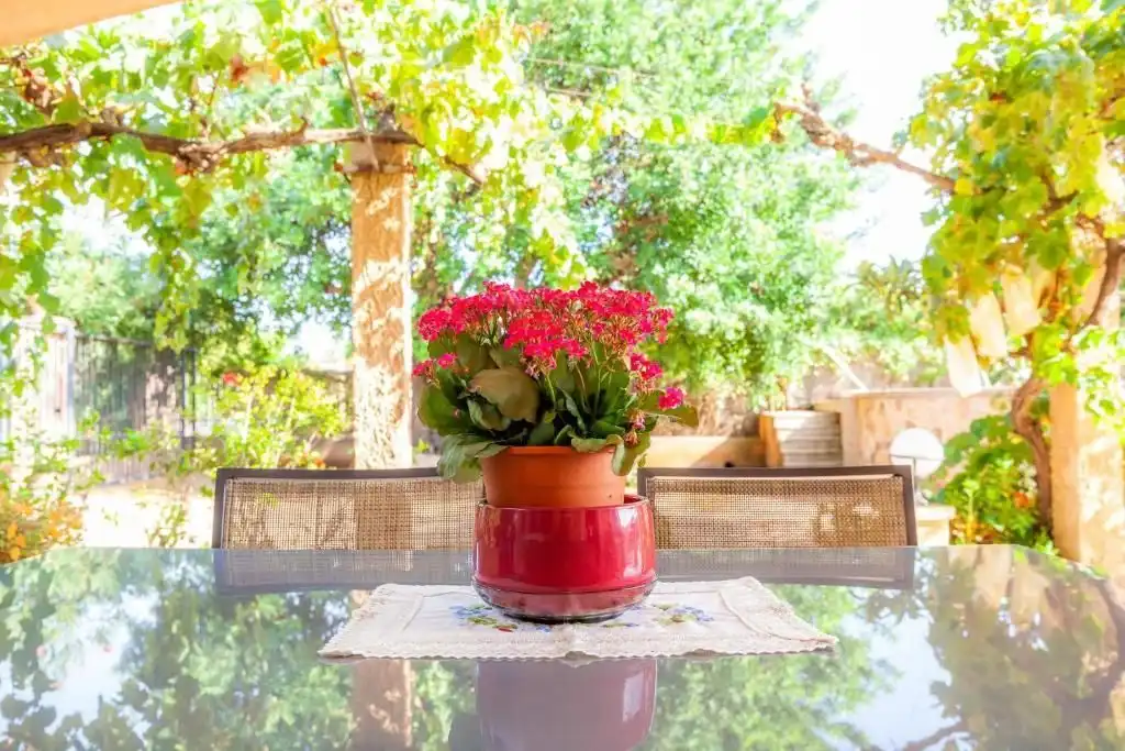 Terrasse von Grundstücke zur Miete in Santanyí
