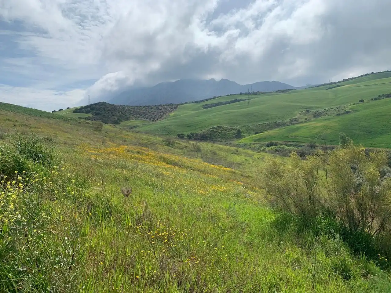 Terreny rústic en venda a Valle de Abdalajís, imagen 2