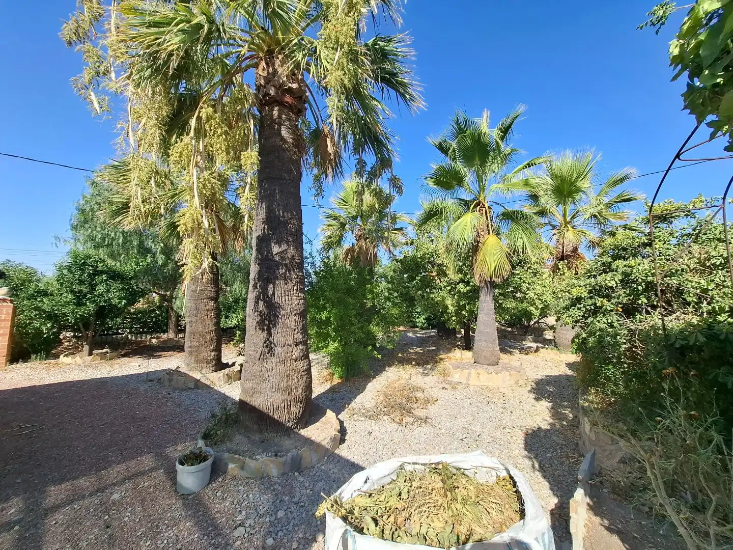 Jardín de Casa o chalet en venta en Busot, Alicante