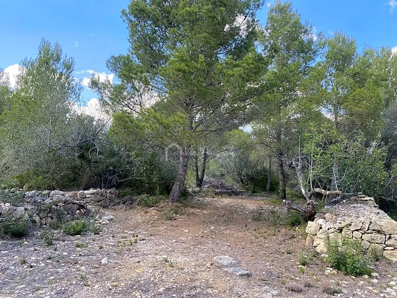 Terreno rustico in vendita a Ligallo de les Bordes, imagen 13