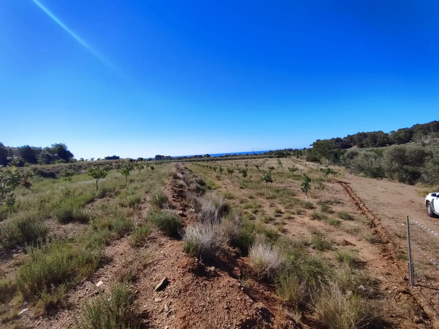 Terreno en venta en Riudecols