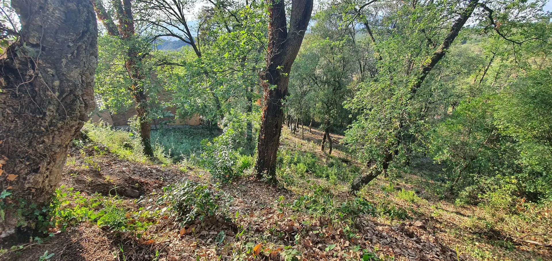 Terreno residencial en venta en Lloc Can Puigdemir 24D