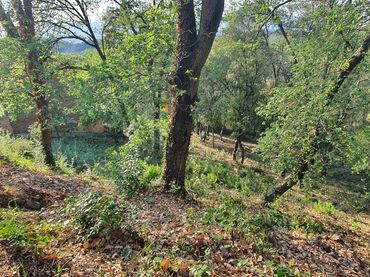 Terreno residencial en venta en Lloc Can Puigdemir 24D