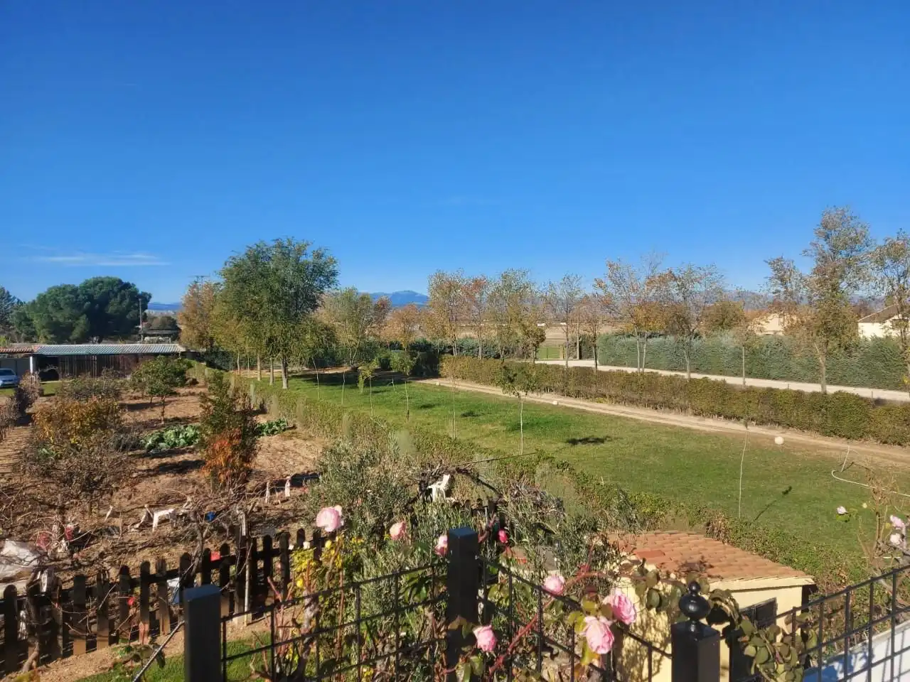 House with pool for sale in Fuente El Saz de Jarama, imagen 55