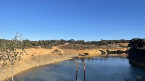 Foto 5 de Finca rústica en venda a Paterna del Campo, Huelva