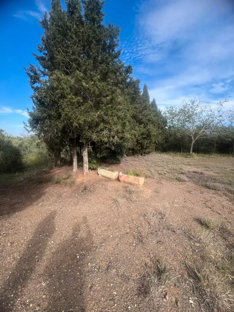 Terreno rustico in vendita a Almoster, imagen 9