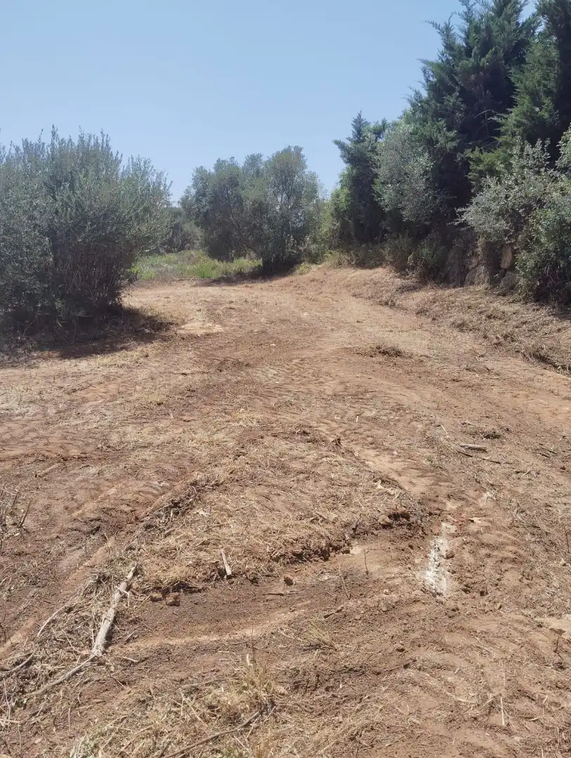 Terreni e lotti in vendita a Avenida los Cortijos 204, imagen 4