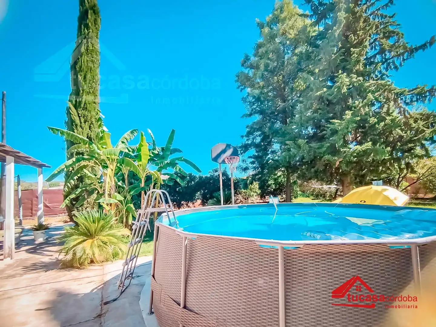 Piscina de Casa o xalet en venda en Córdoba amb Aire condicionat, Calefacció i Jardí privat
