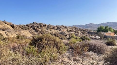 Venta de Finca en el Marraque- Pechina- Rioja, Bajada de Precio !!, immagine 4