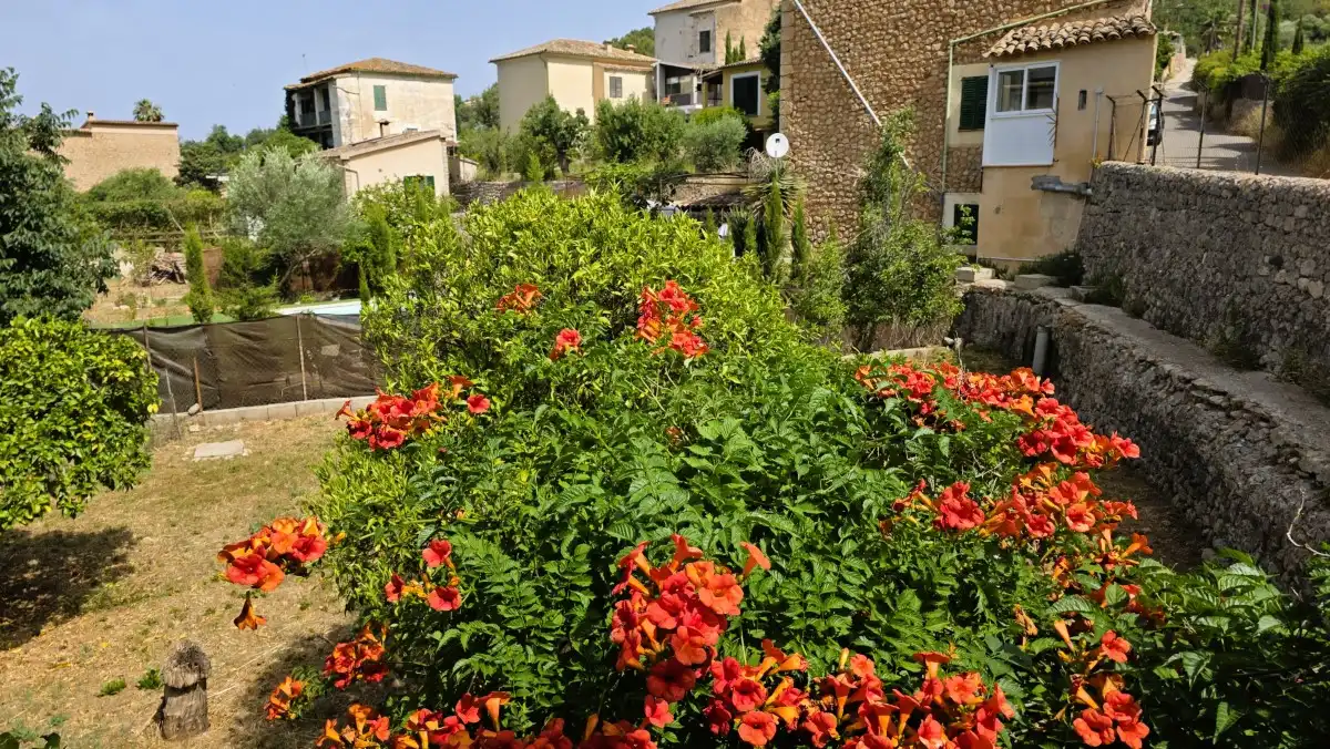 Casa bifamiliare con giardino in vendita a Sóller, imagen 14