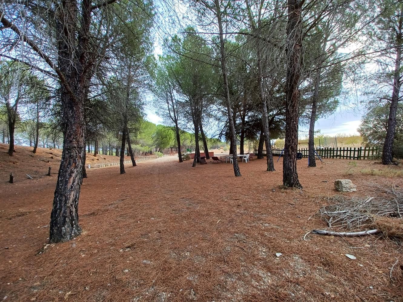 Finca rústica en venda en Fuensanta amb Jardí privat, Terrassa i Traster