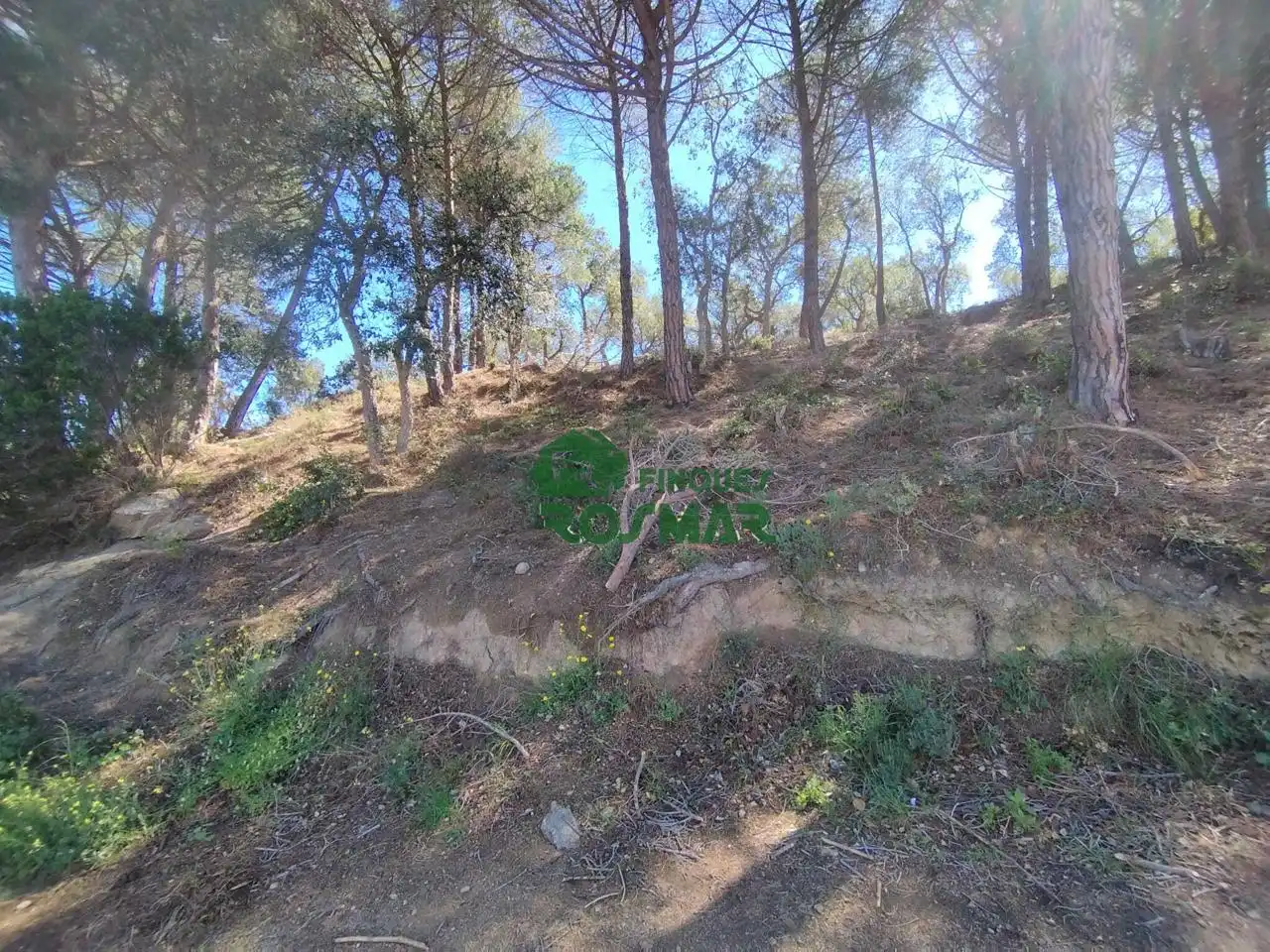 Terrenos y solares en venta en Roca Grossa, imagen 9