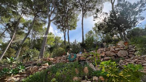 Foto 5 de Casa o xalet en venda a San Agustin, Sant Josep, Illes Balears
