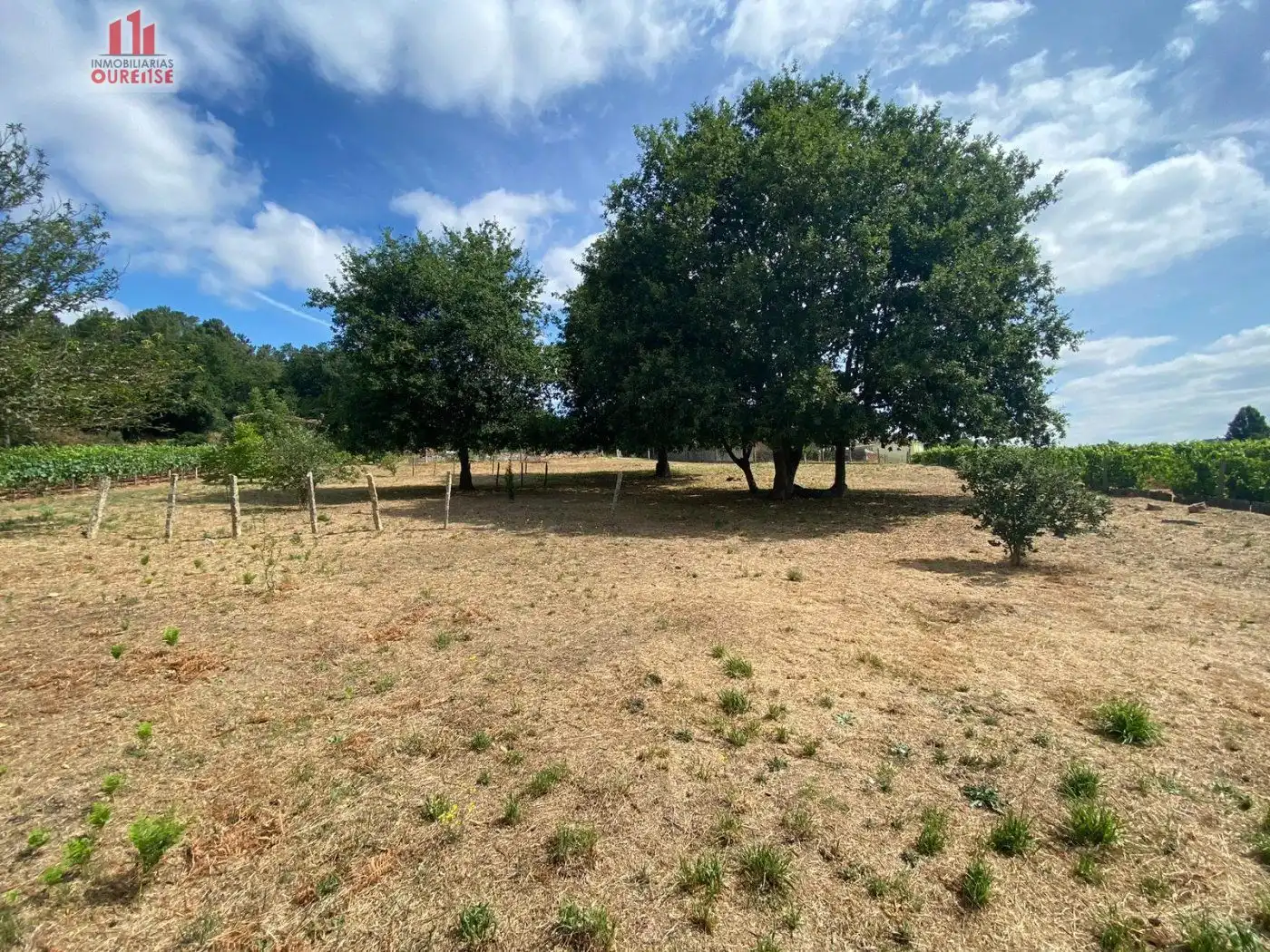 Residencial en venta en Ribadavia